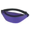 Budget Fanny Pack Purple/Black Trim