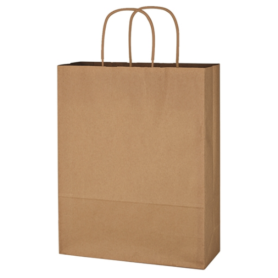 Kraft Paper Brown Shopping Bag - 10" x 13"