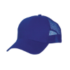 Royal Blue/Royal Blue Mesh