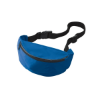 The Basics Fanny Pack Blue