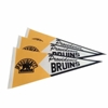 Pennants 12" x 18"