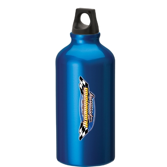 16.9 oz. Flask with Twist Top-Blue