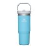 Stanley IceFlow™ Flip Straw Tumbler 30oz Pool