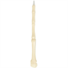 Finger Bone Pens White