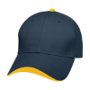 Navy Blue/Gold