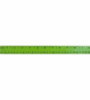 12" Enamel Flat Wood English & Metric Rulers Green